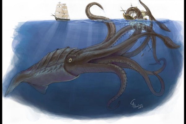 Kraken cc ссылка