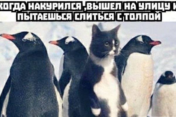 Кракен маркетплейс kr2web in