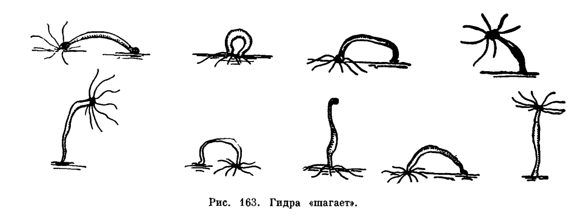 Кракен сайт krknwebs